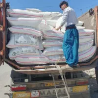 انواع شیمیایی