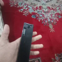 ظبط
