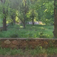 زمین بهترین جای الموت