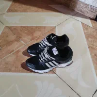 اکومنت فولوکس zx 8000 سایز 39/5