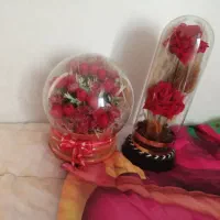 دونه ۵۰۰ تومان گلا