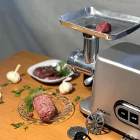 چرخ گوشت