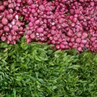 سبزی خوردن