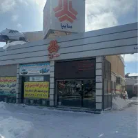 کارشناس فنی با مدرک لیسانس مکانیک