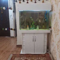 آکواریوم ماهی