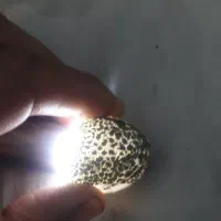 سنگ سبز رنگ