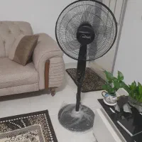 پنکه کالوات
