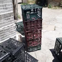 سبد میوه گیلاس آلبالو سیب گوجه