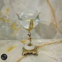 تنگ ماهی در 5مدل