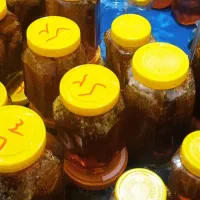 عسل به شرط و تضمین