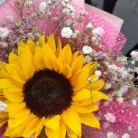 مشاور کنکور انسانی