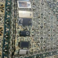 برد و گوشی