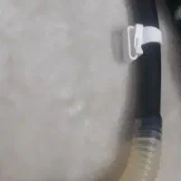 اسنورکل