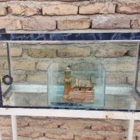 آکواریوم ماهی