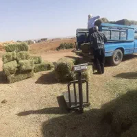 پرس یونجه خشک بدون علف