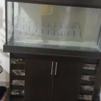 آکواریوم