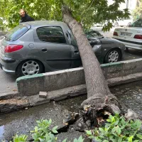 بیمه بدنه با قدمت و اعتبار ۹۰ ساله