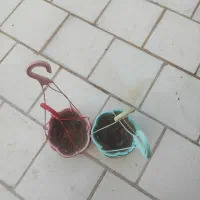 گل وگلدان آویرو وساده