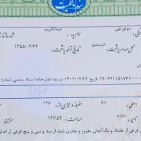 خانه نو ساز عشرت اباد