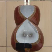 تار حرفه ای ساخت استاد حسینی