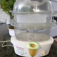 بخار پز