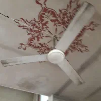 پنکه سقفی دوعدد