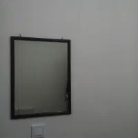 دوعددایینه قیمت ۷۵۰