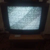 تلویزیون