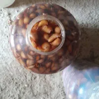 سیر ترشی باپوست