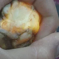 سنگ زیبا|کلکسیون اشیاء عتیقه|فسا, |دیوار