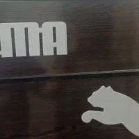 تخت دو طبقه پوما