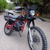 هوندا اکسل 250 نیکتاز