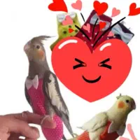 پوشک پرنده