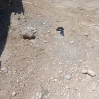 زمین مسکونی 362متر باشت