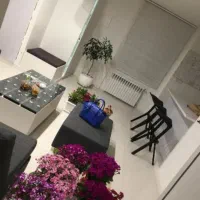 نظافت منزل شخصی