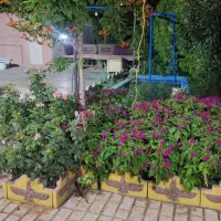 باغ-ویلا-اجاره-مناسب-دورهمی-وخانواده
