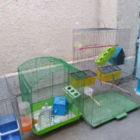 قفس پرنده