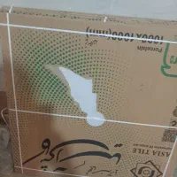کاشی یک در یک کف