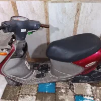 منی ۵۰بسکت
