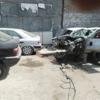 استوک زانتیا