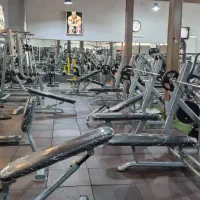 منشی و مربی بدنسازی بانوان