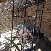 باربند دزفولی نیسان سلامت بدون پوسیدگی