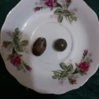 فروش  سه عددمهره