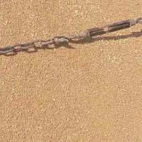گندم بشرط نان