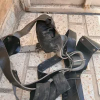 هیکلی علم کشی