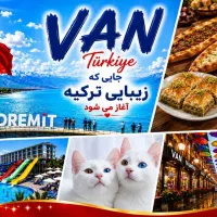 تورشادگروهی وان