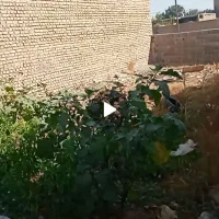 زمین130متری