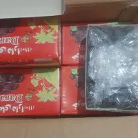 خرما دارا 110