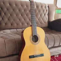 گیتار حرفه ای samick  LC020