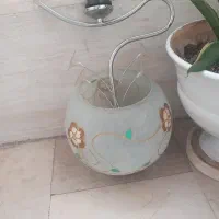 لوستر